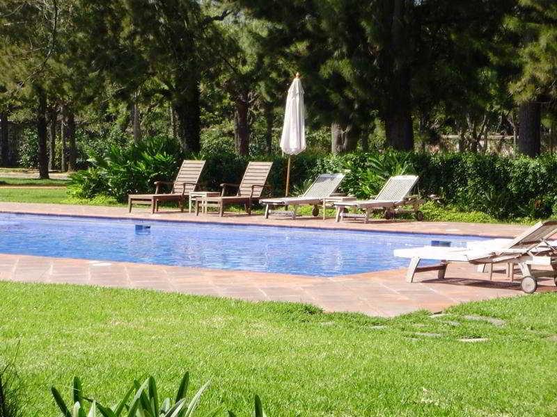 Filadelfia Coffee Resort & Tour Jocotenango Kültér fotó