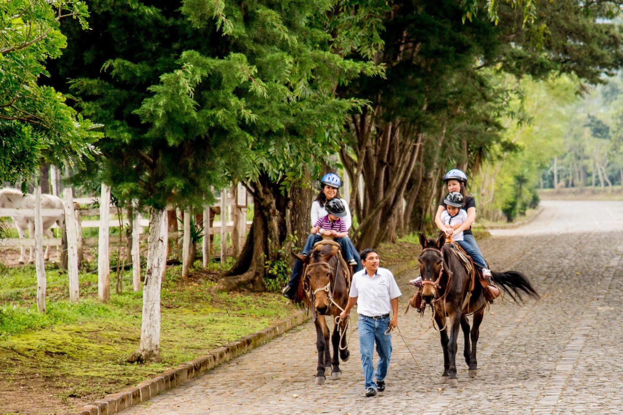 Filadelfia Coffee Resort & Tour Jocotenango Kültér fotó